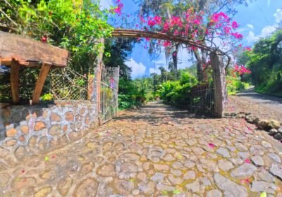 IMG_20250922_093750_00_016